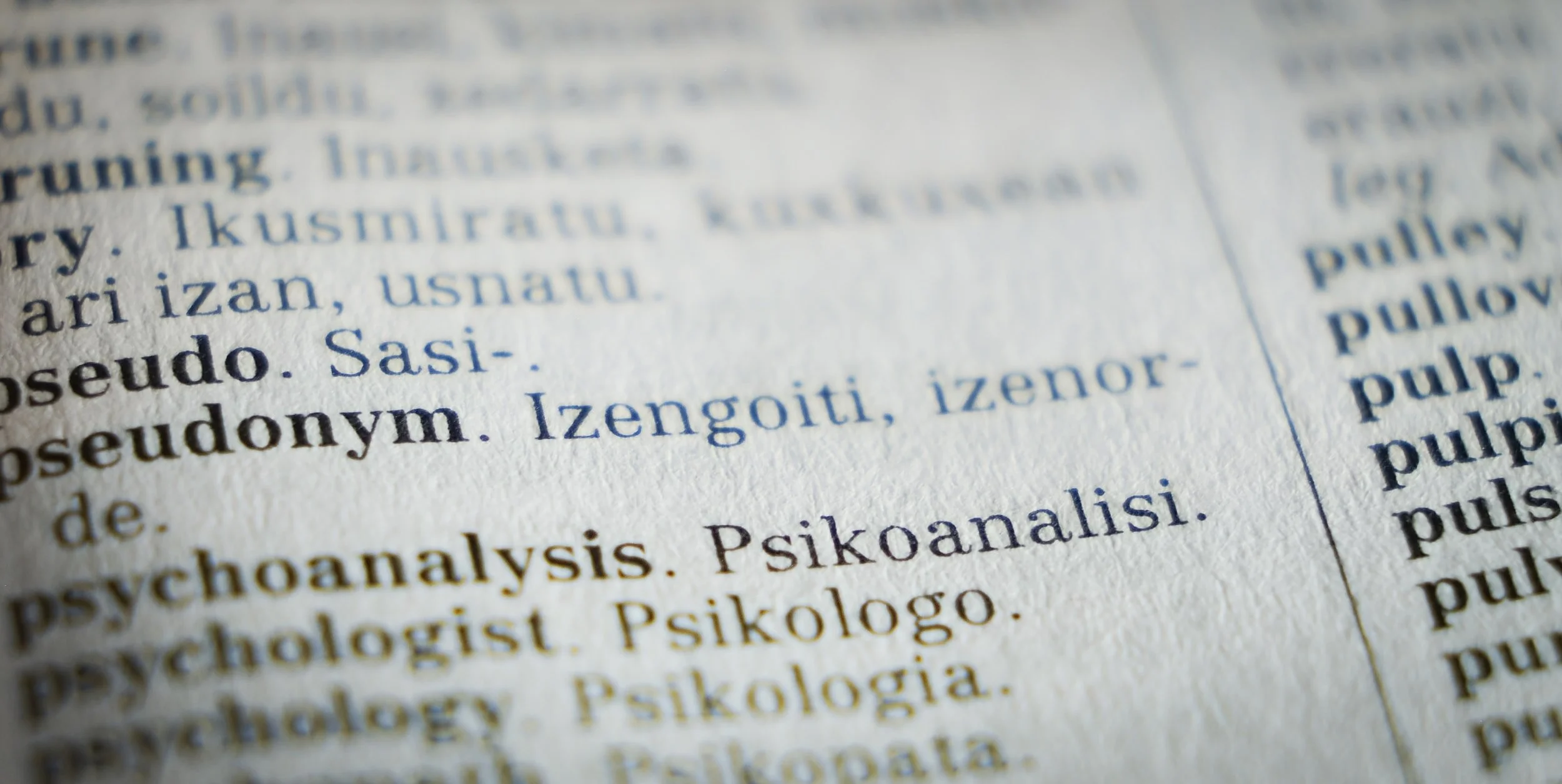 Why You Need A Professional Translator If You're Taking Your Business International