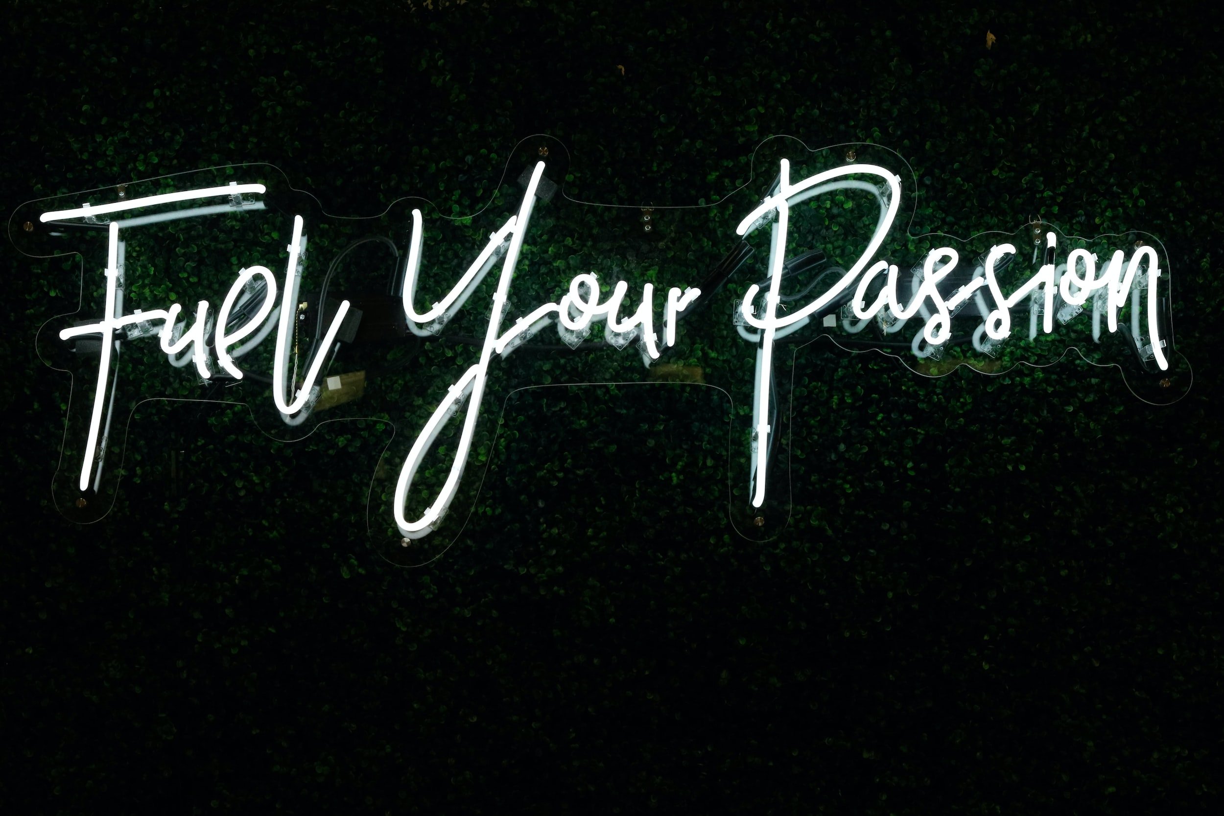 3 Ways To Make Your Passion A Fulfilling Career
