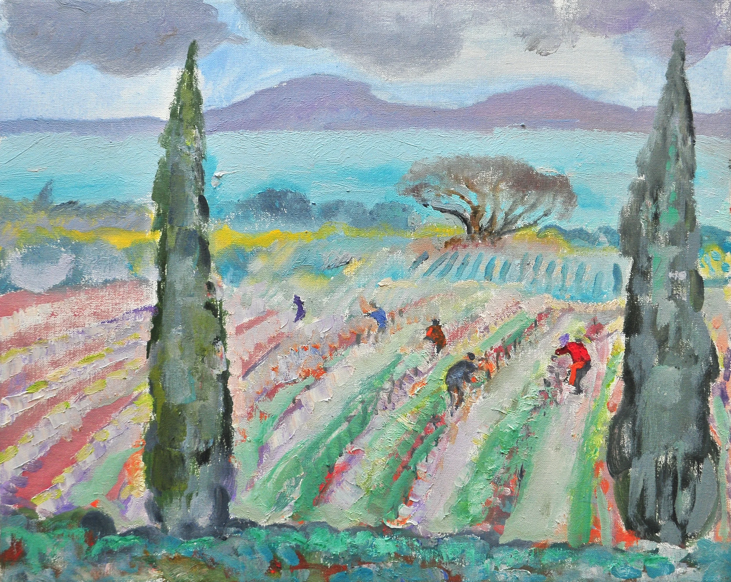 Tuscany, 2015, oil/canvas, 40х50