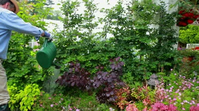stock-footage-man-is-working-at-his-garden-at-home.jpg