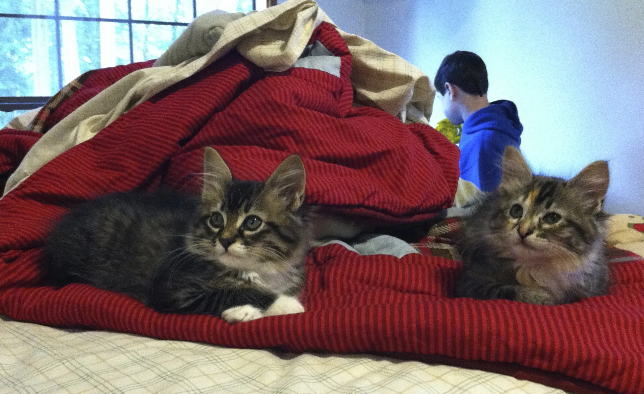 Caught them hanging out in his room when they were still teeny.