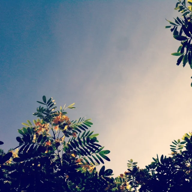 photo 3.JPG