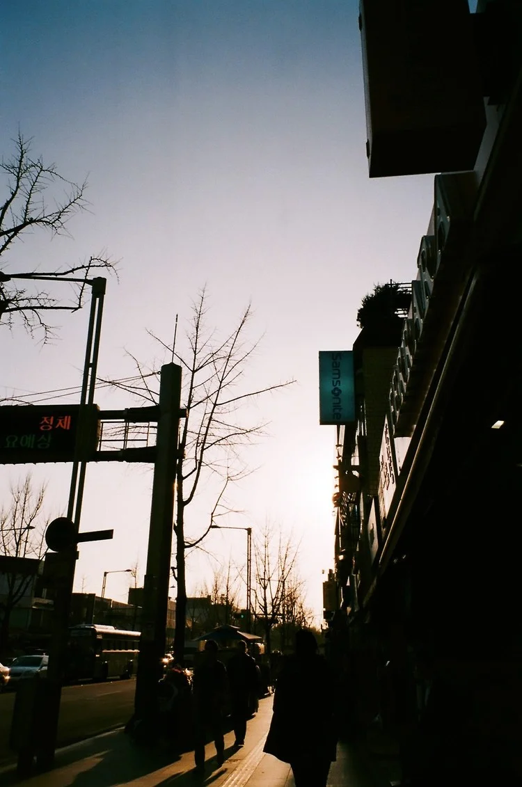 D1010012.jpeg