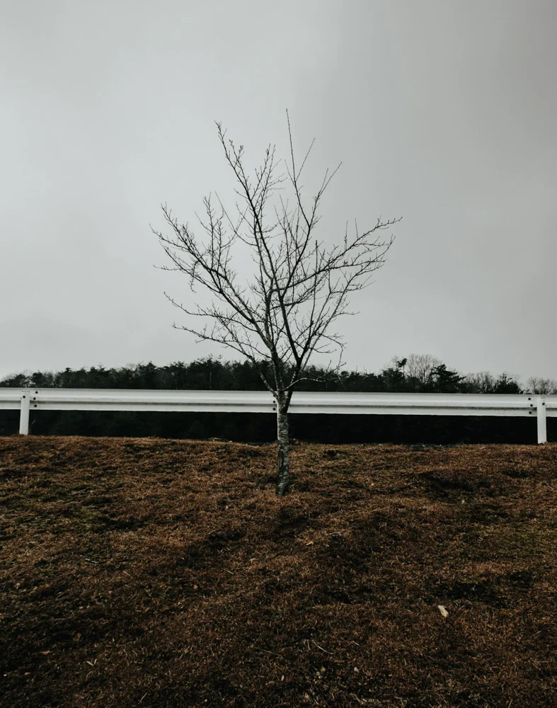 4R4A0259.jpg