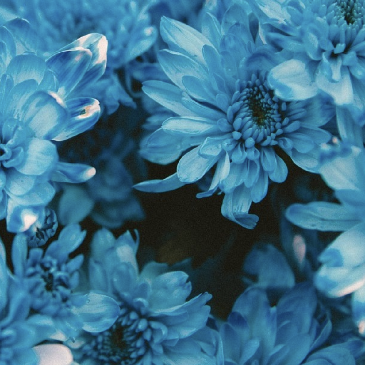 Screen Shot 2018-10-11 at 1.16.41 PM.png