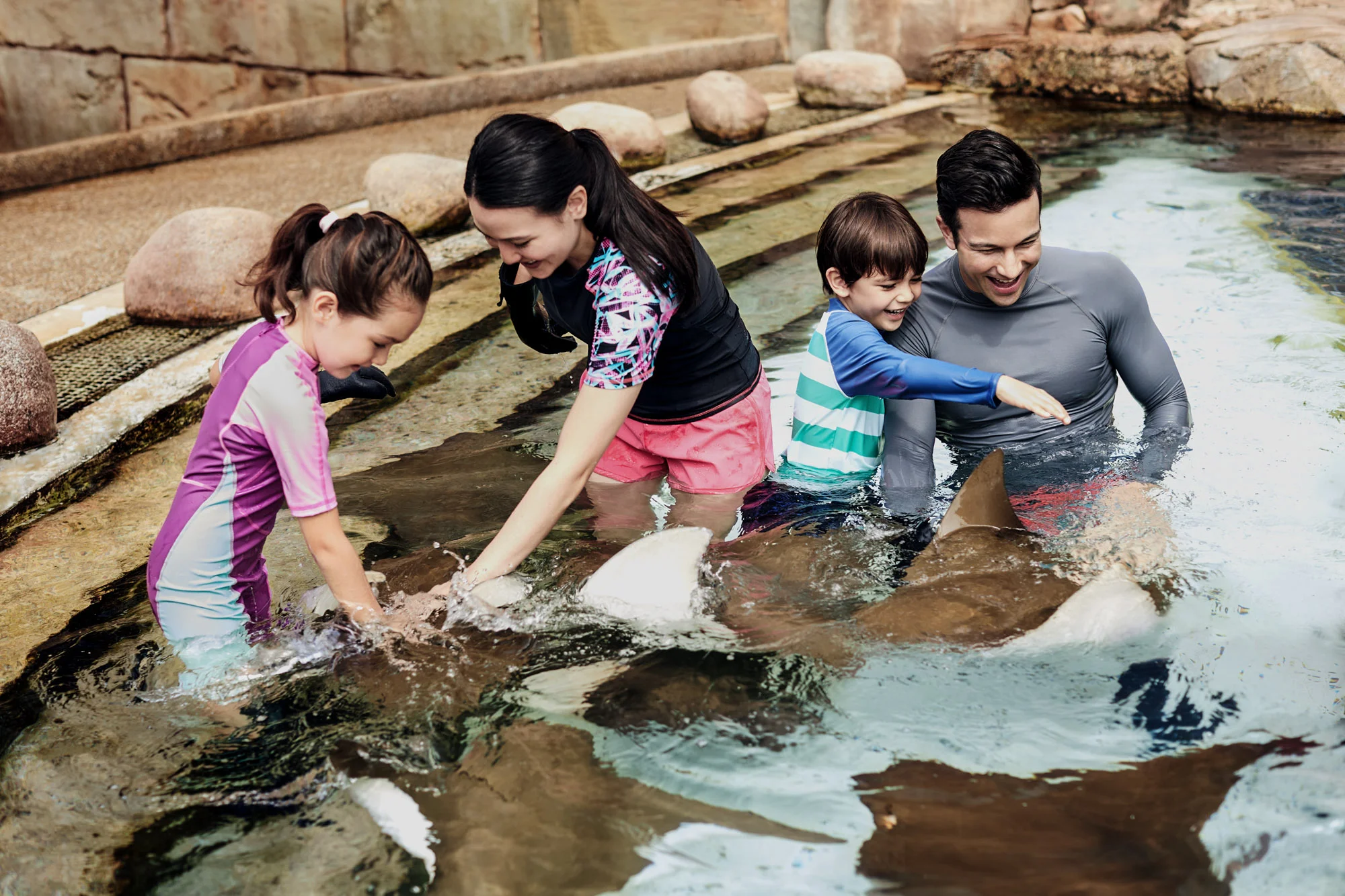 STB Photo Library 2018 7867 copy.jpg