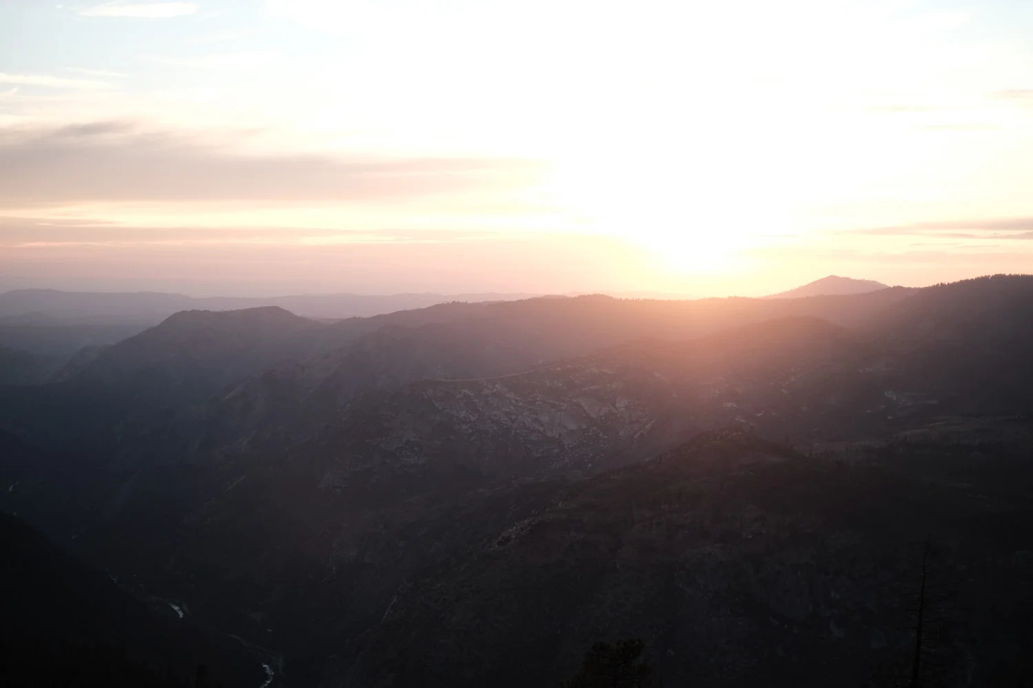 DSCF8919.jpg
