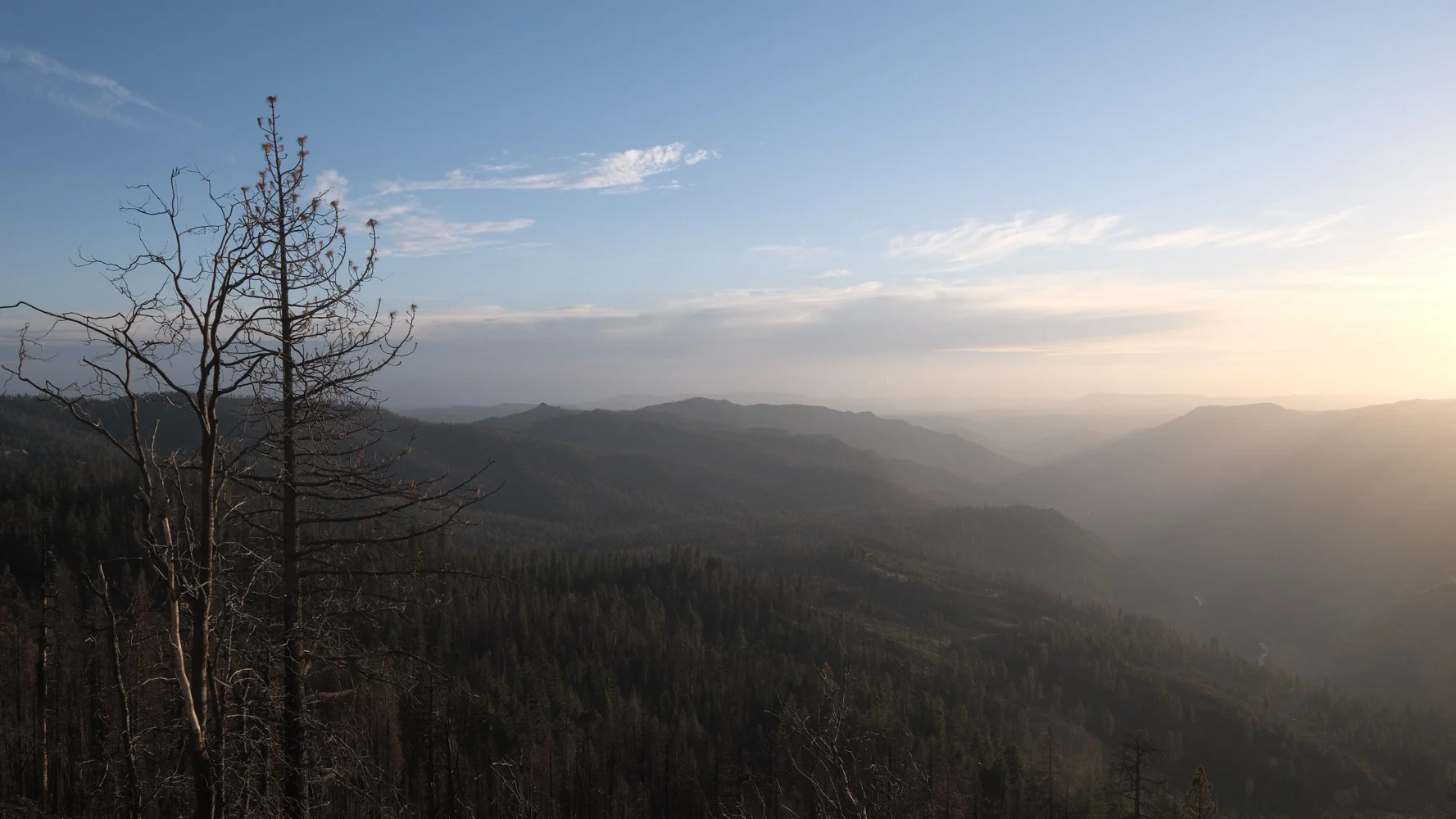 DSCF8931.jpg