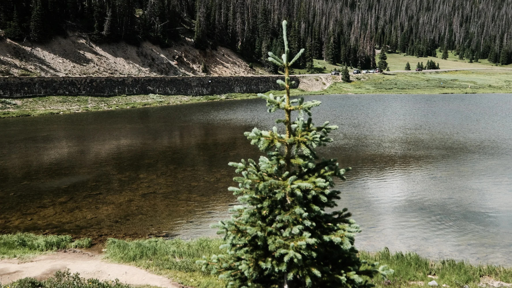 DSCF0075.jpg