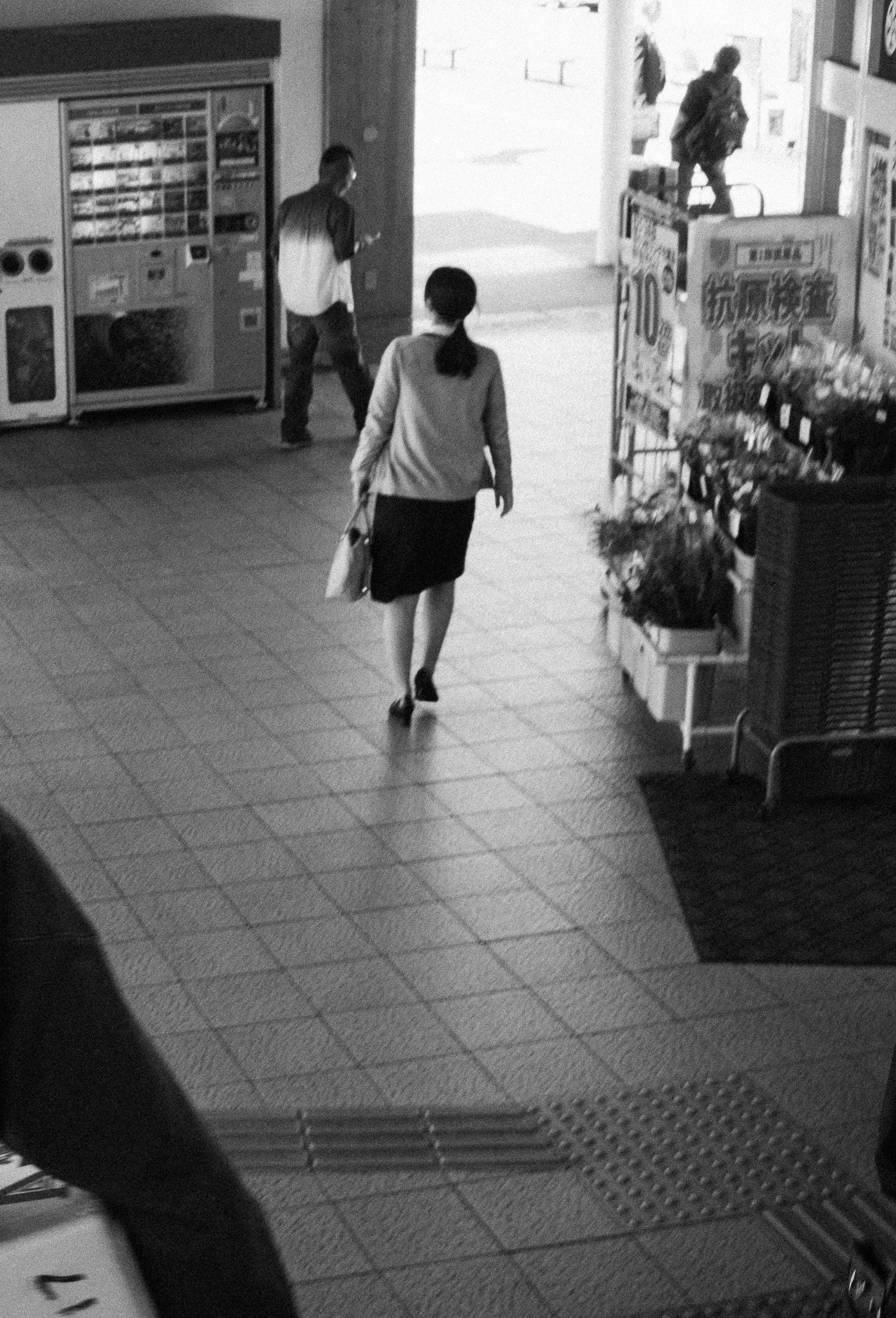 L1006881.jpg