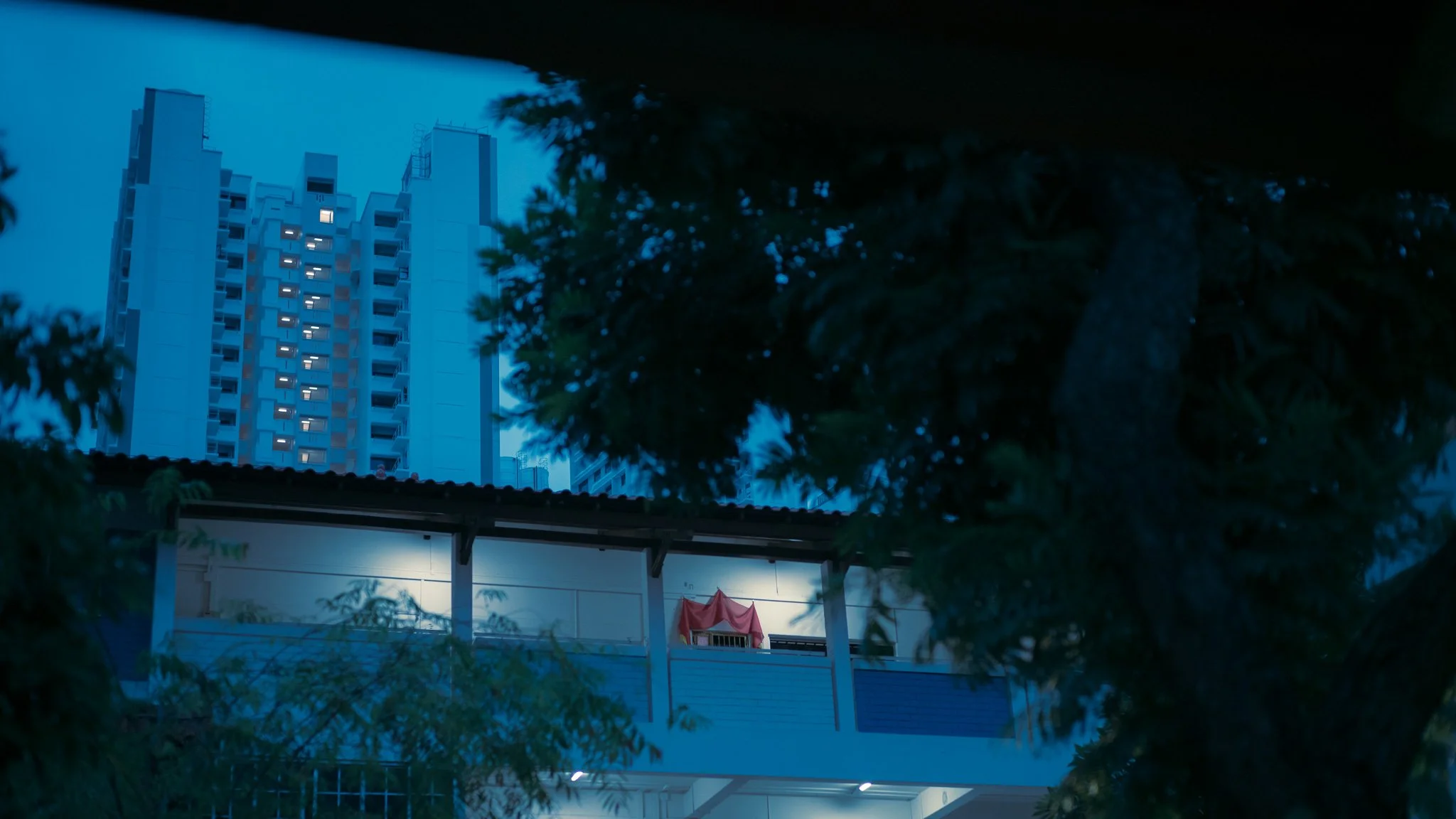 L1000277.jpg