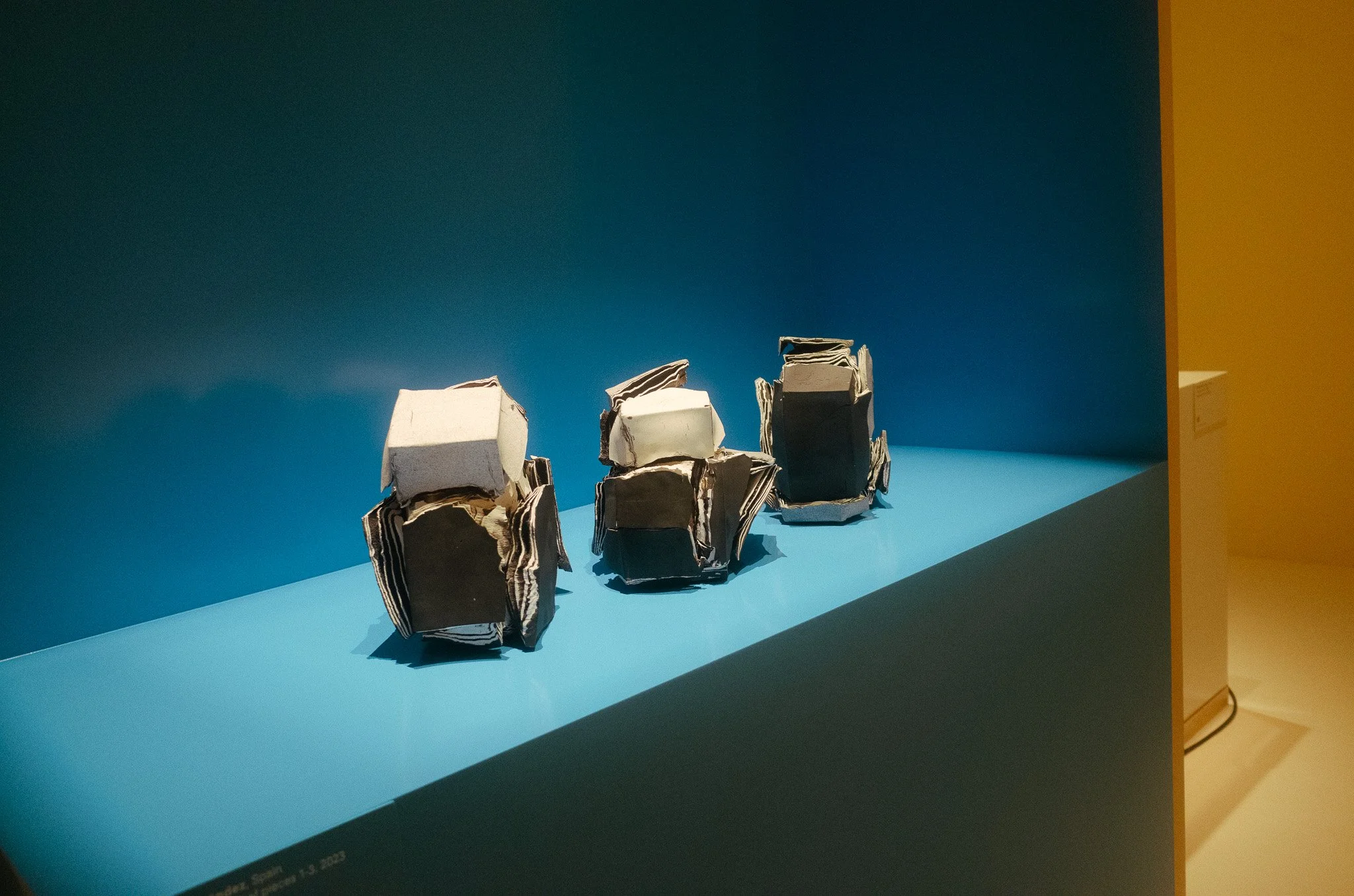 R1000673.jpg