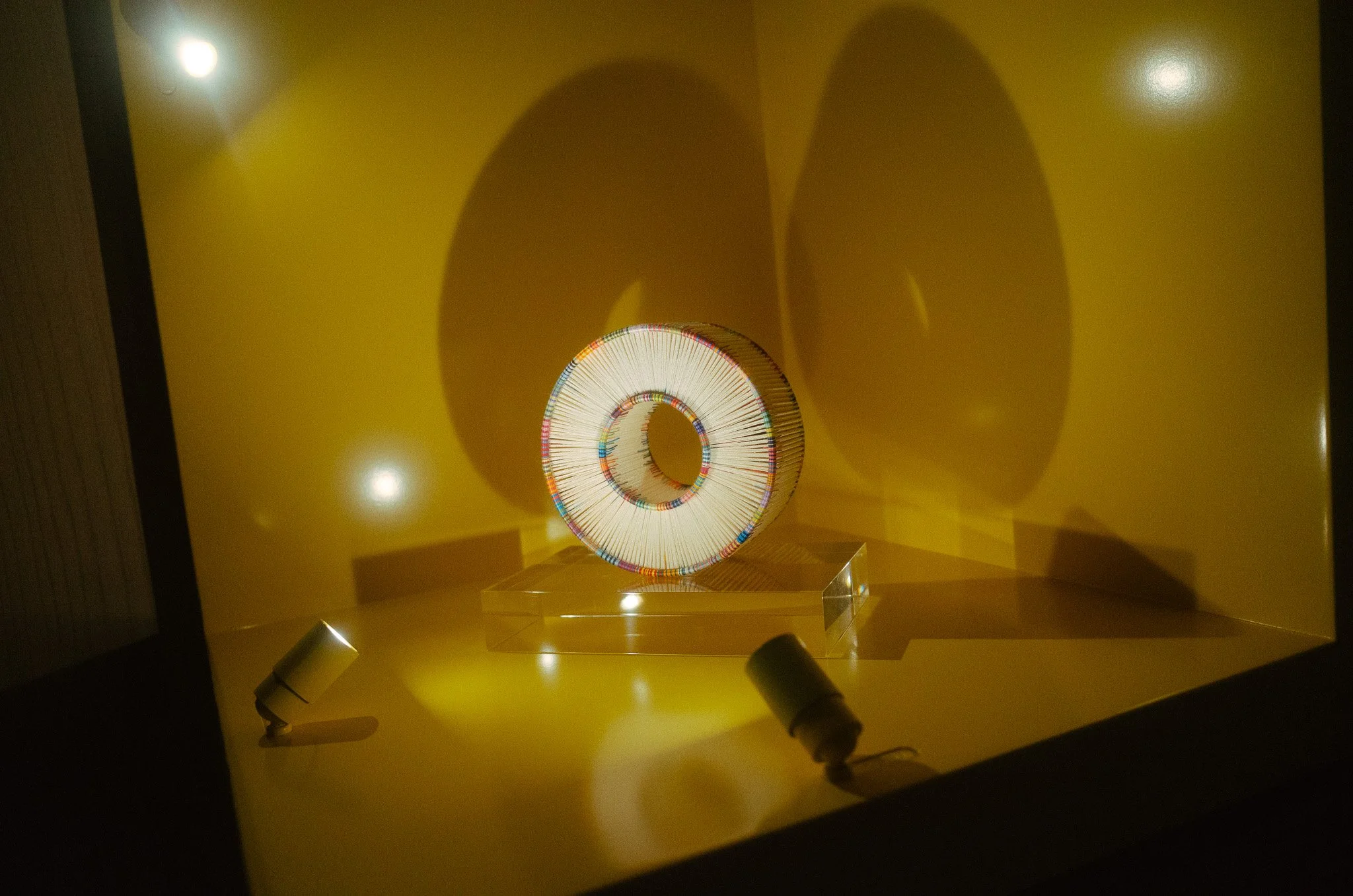 R1000678.jpg