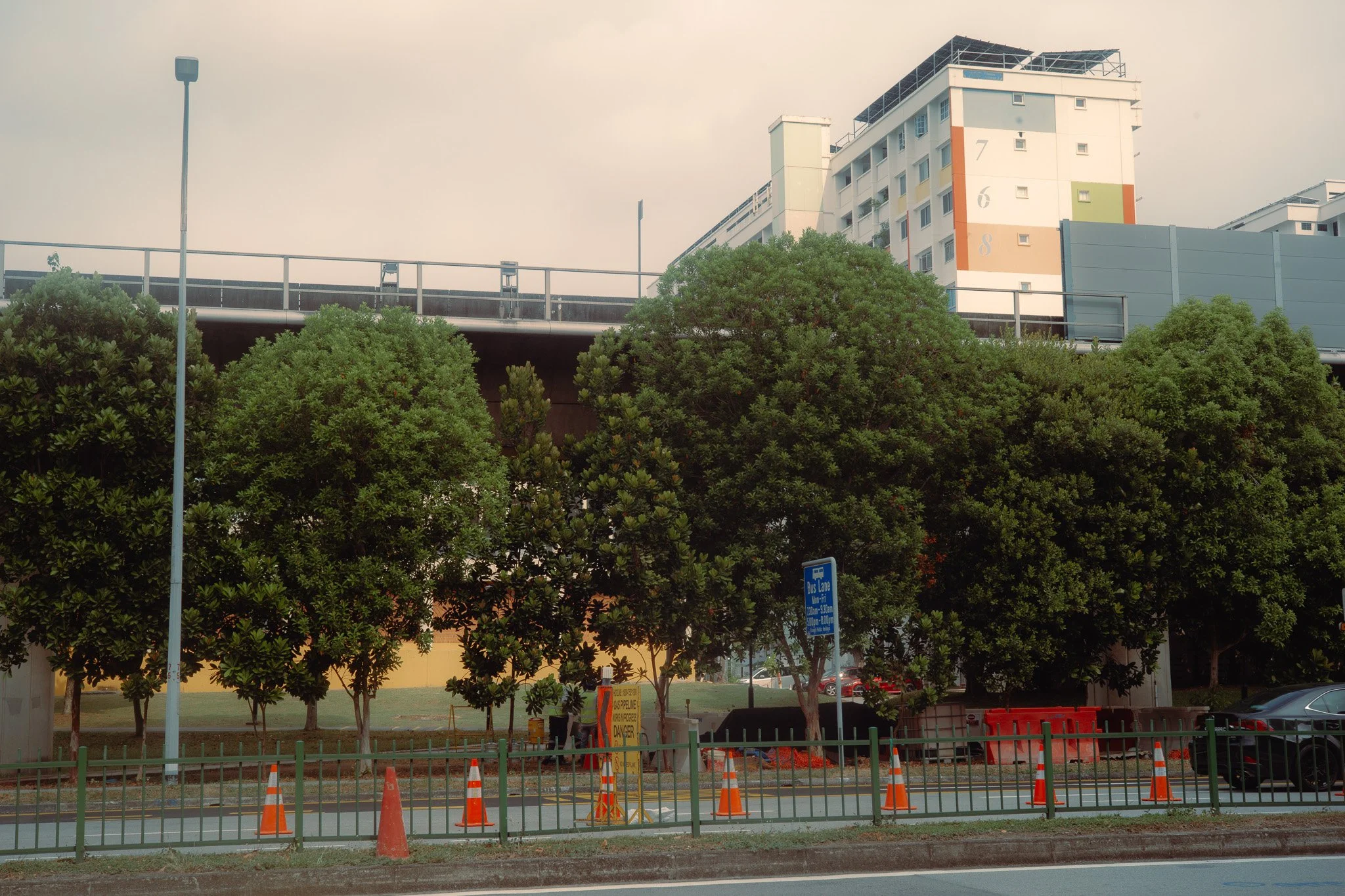 L1008622.jpg