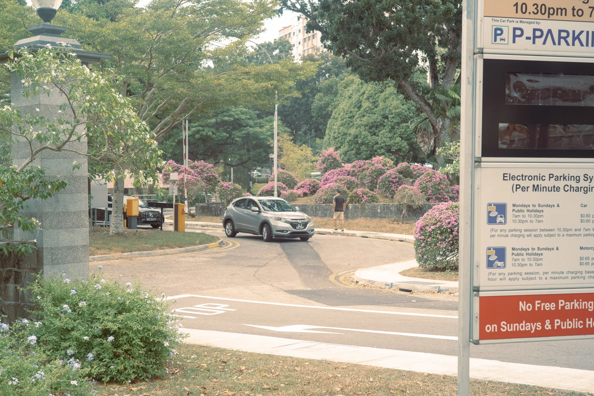 L1008633.jpg