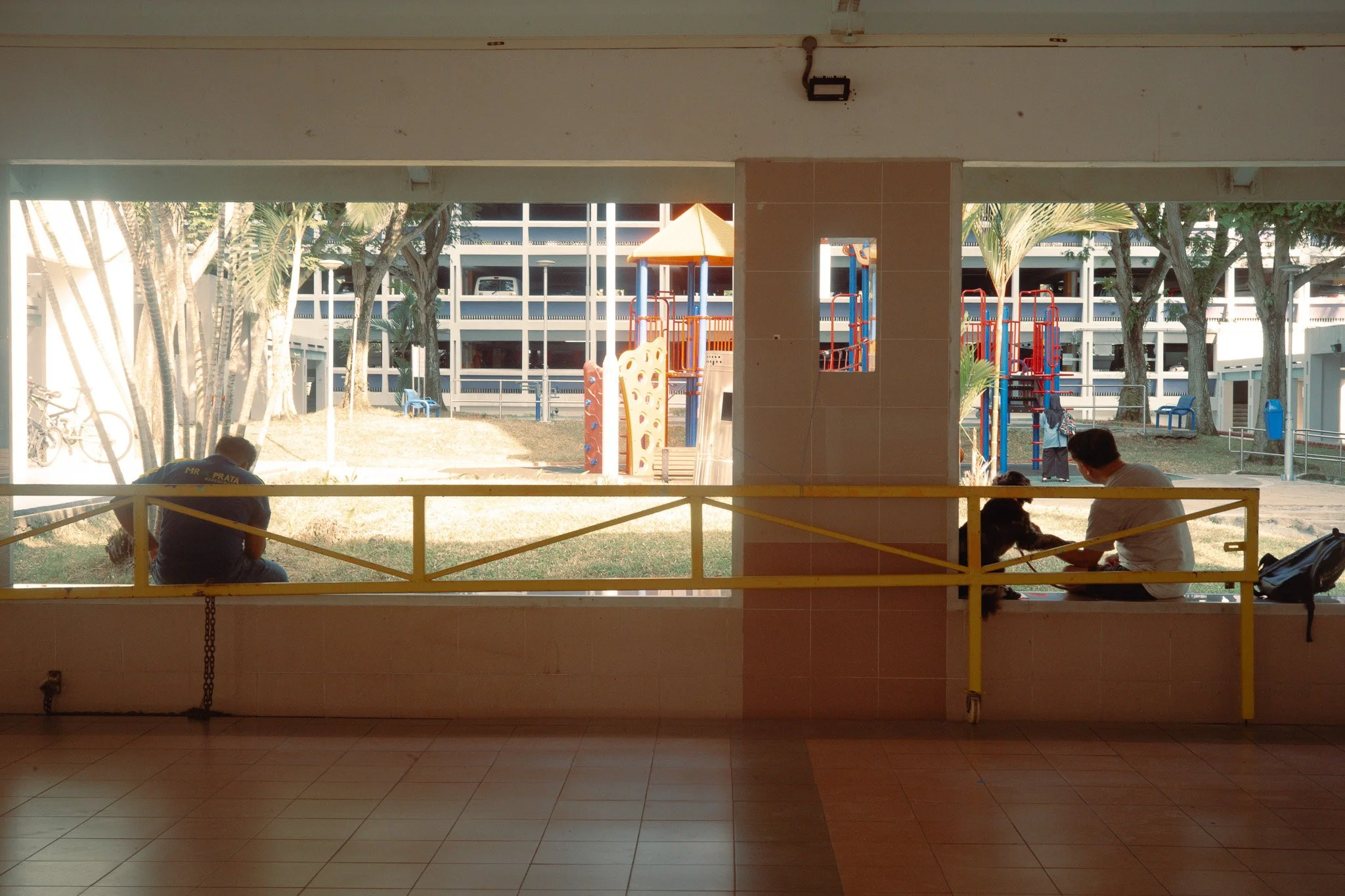 L1008826.jpg