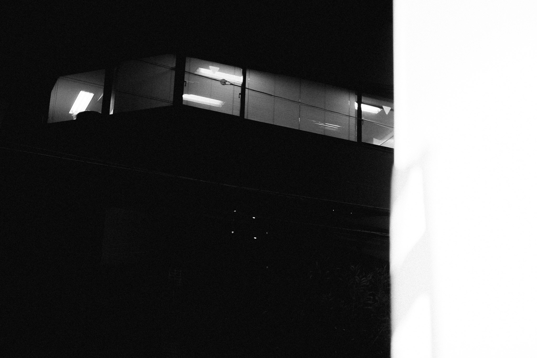 DSCF3917.jpg