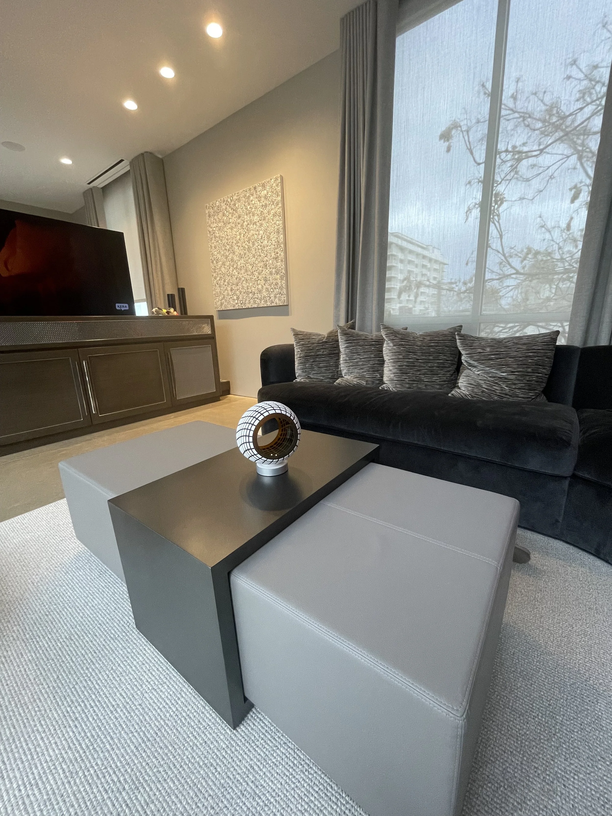 Biomorphic #52 - in home 1.jpeg