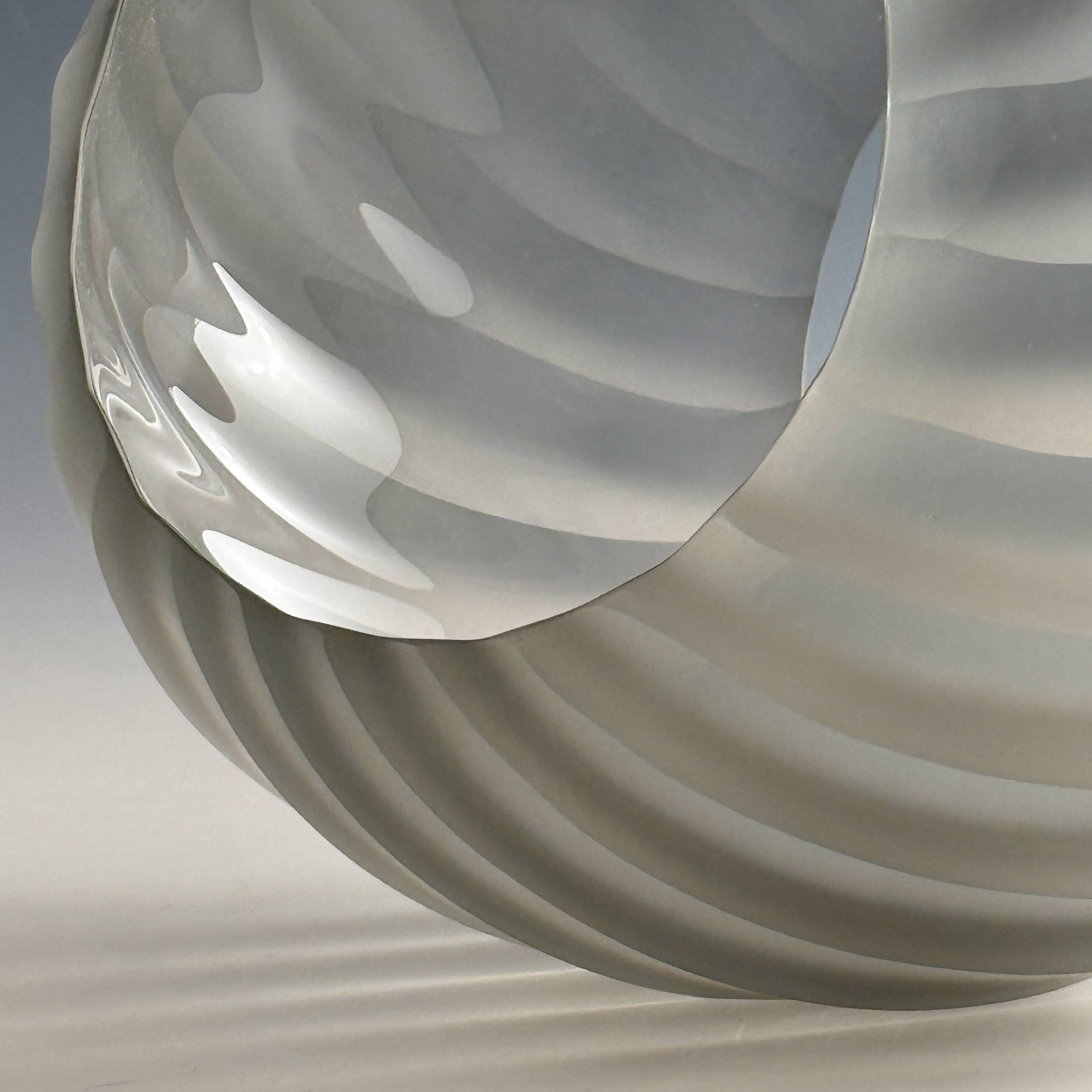 Biomorphic Diffusion Portal #1 - 3.jpg