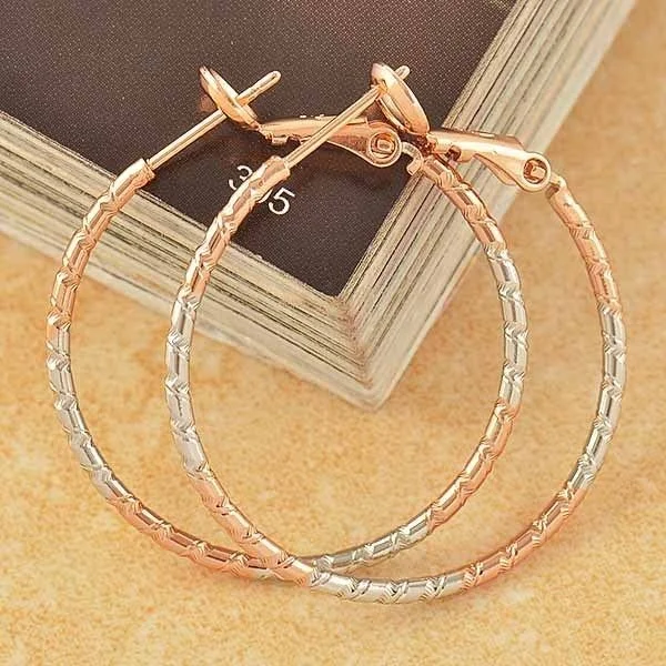 10k Rose Gold and White Tone Hoop Earrings