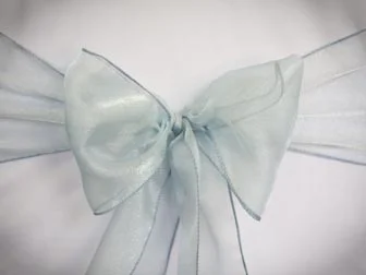 Light Blue Organza