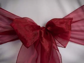 Burgundy Organza