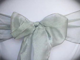 Silver Organza
