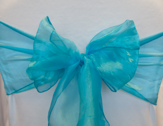 Turquoise Organza