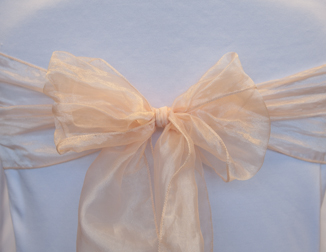 Peach Organza