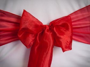 Red Mirror Organza Sash