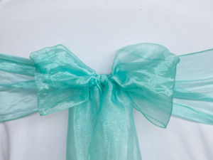 Mint Green Organza