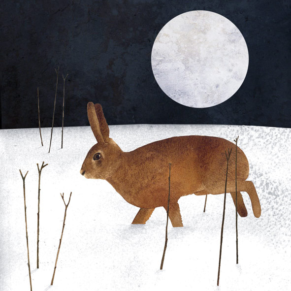 Wintery Hare © Francesca Chalk