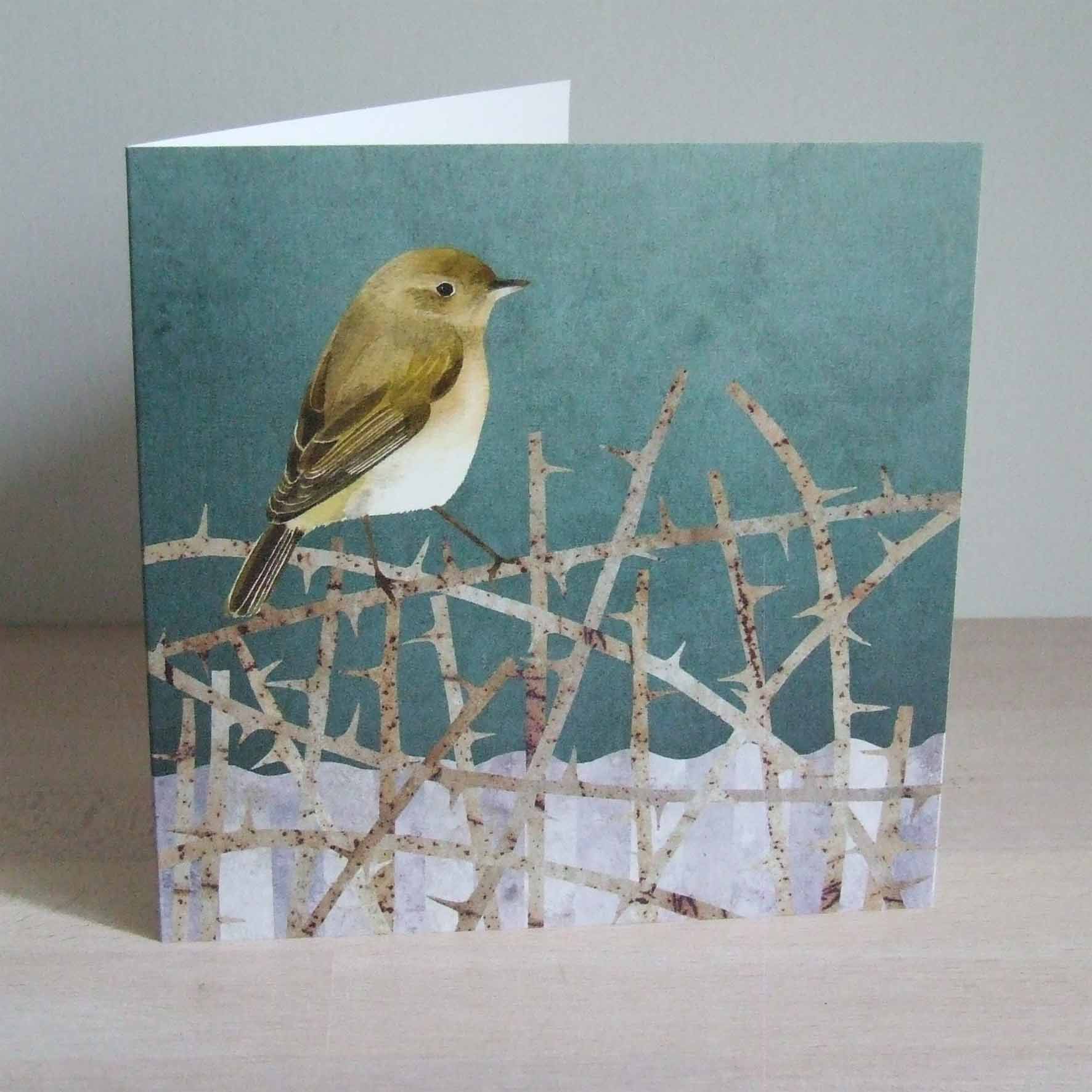 Chiff Chaff © Francesca Chalk