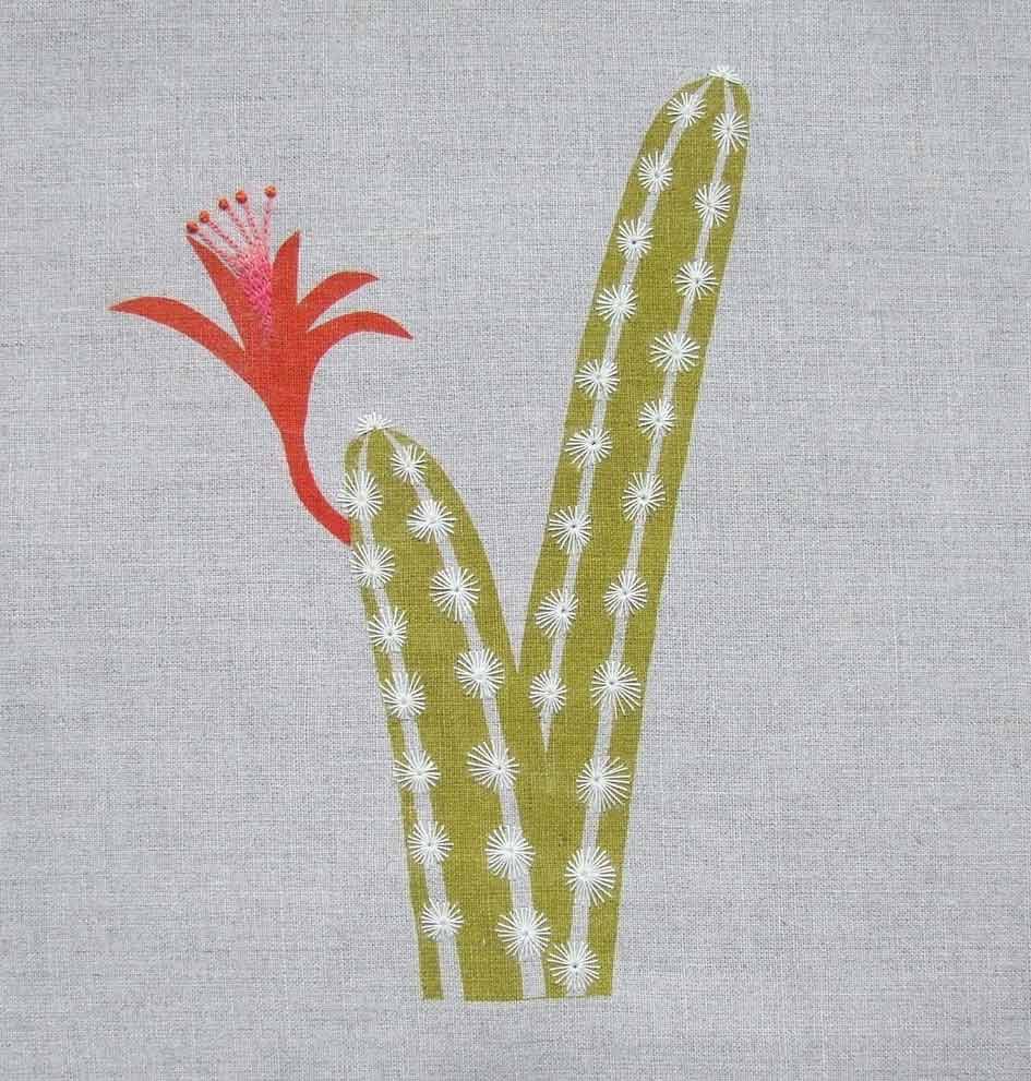 Cactus © Francesca Chalk