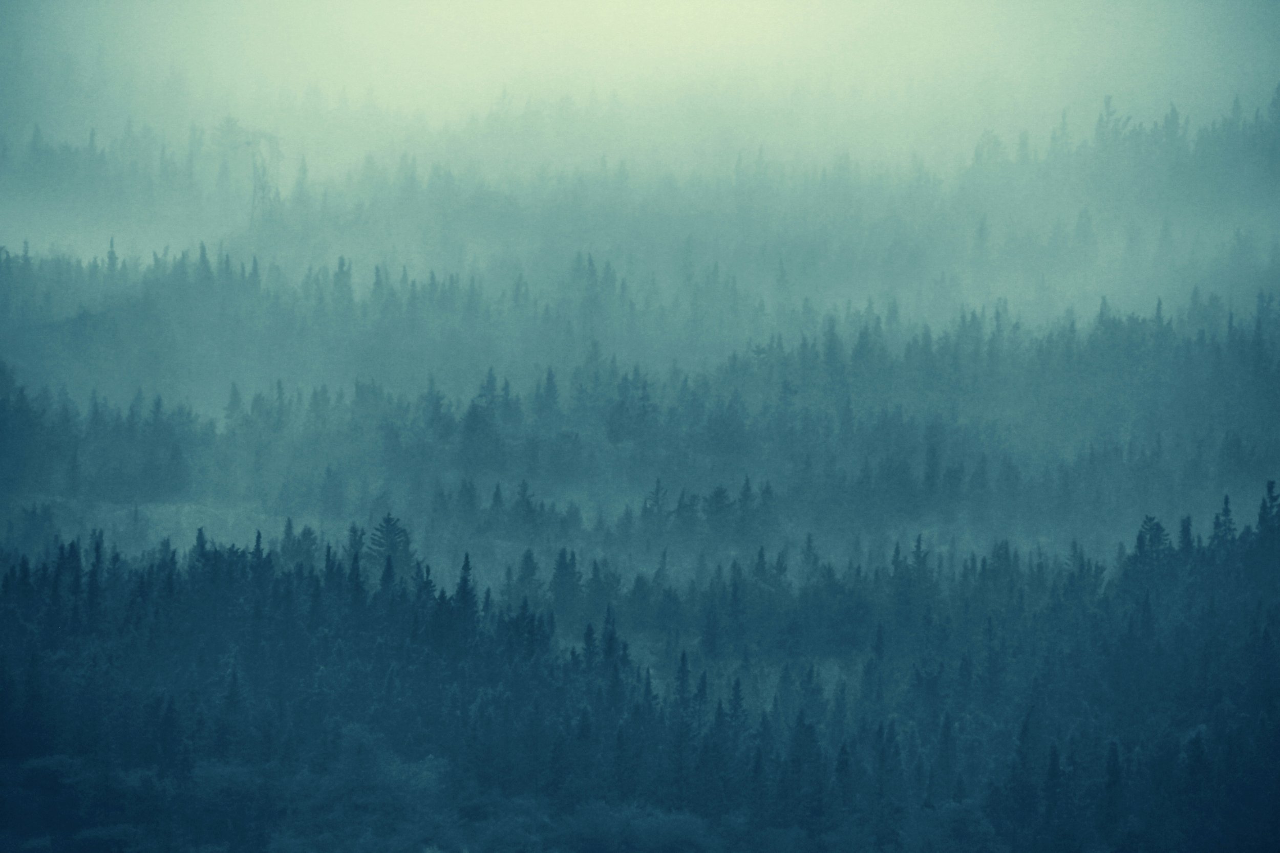 Immune System Health