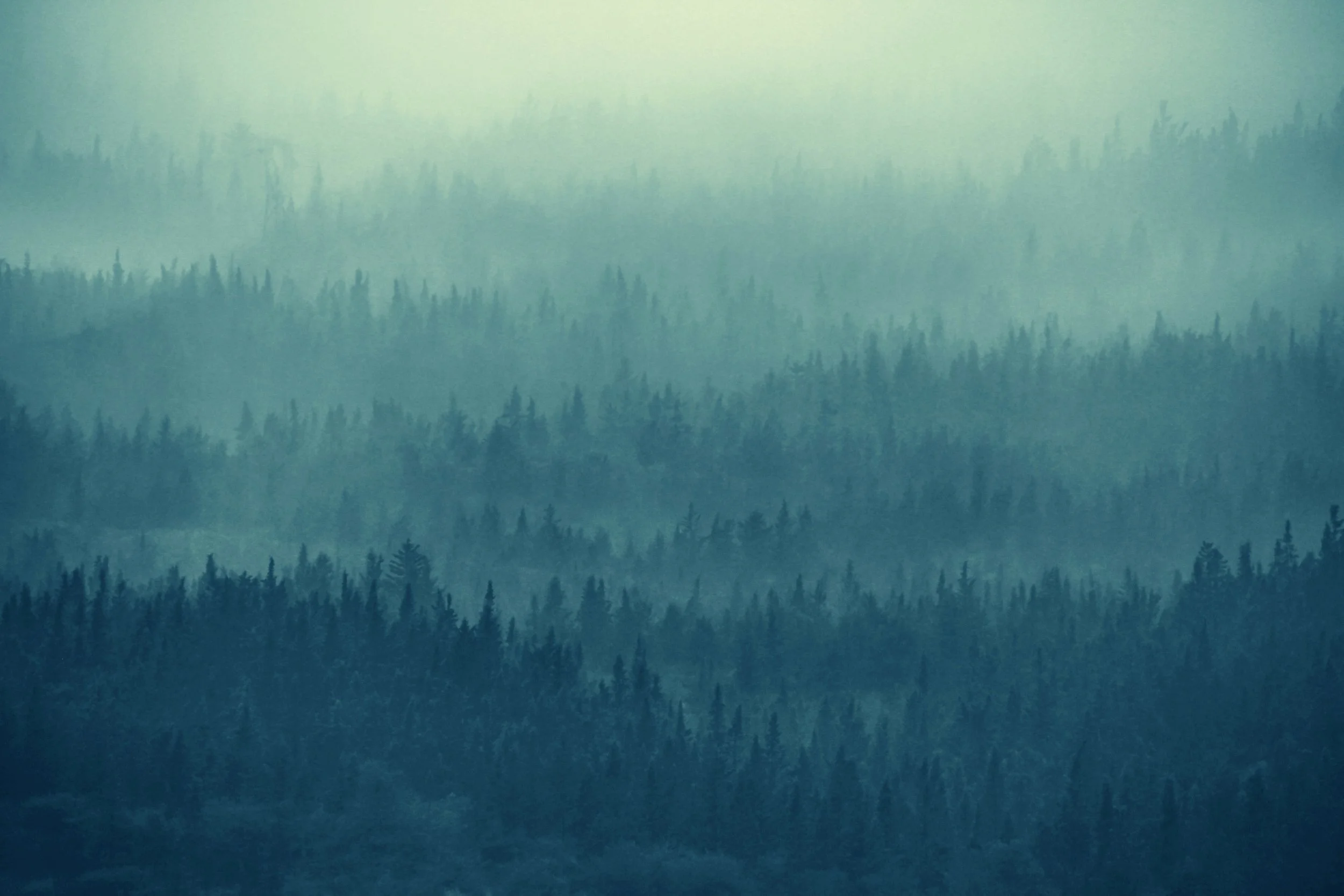 Supporting Our Immune Systems…simple and free