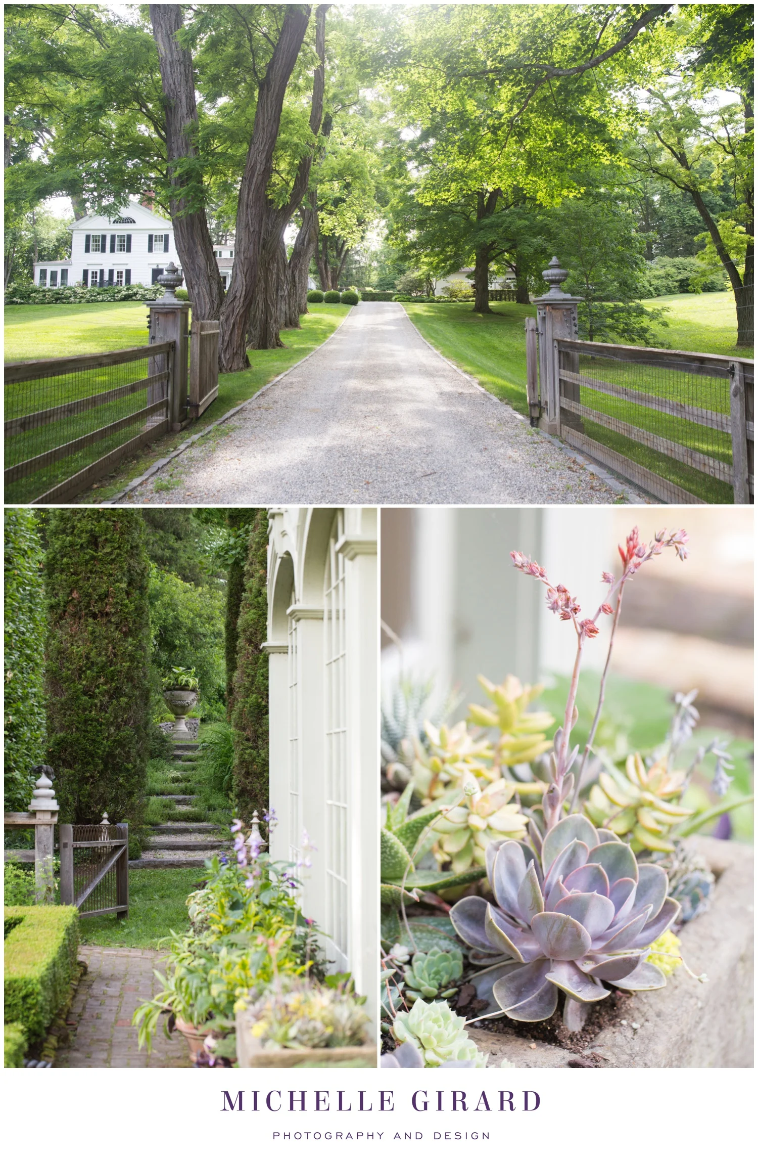BunnyWilliamsGardens_RitaWelchCatering_MichelleGirardPhotography02.jpg