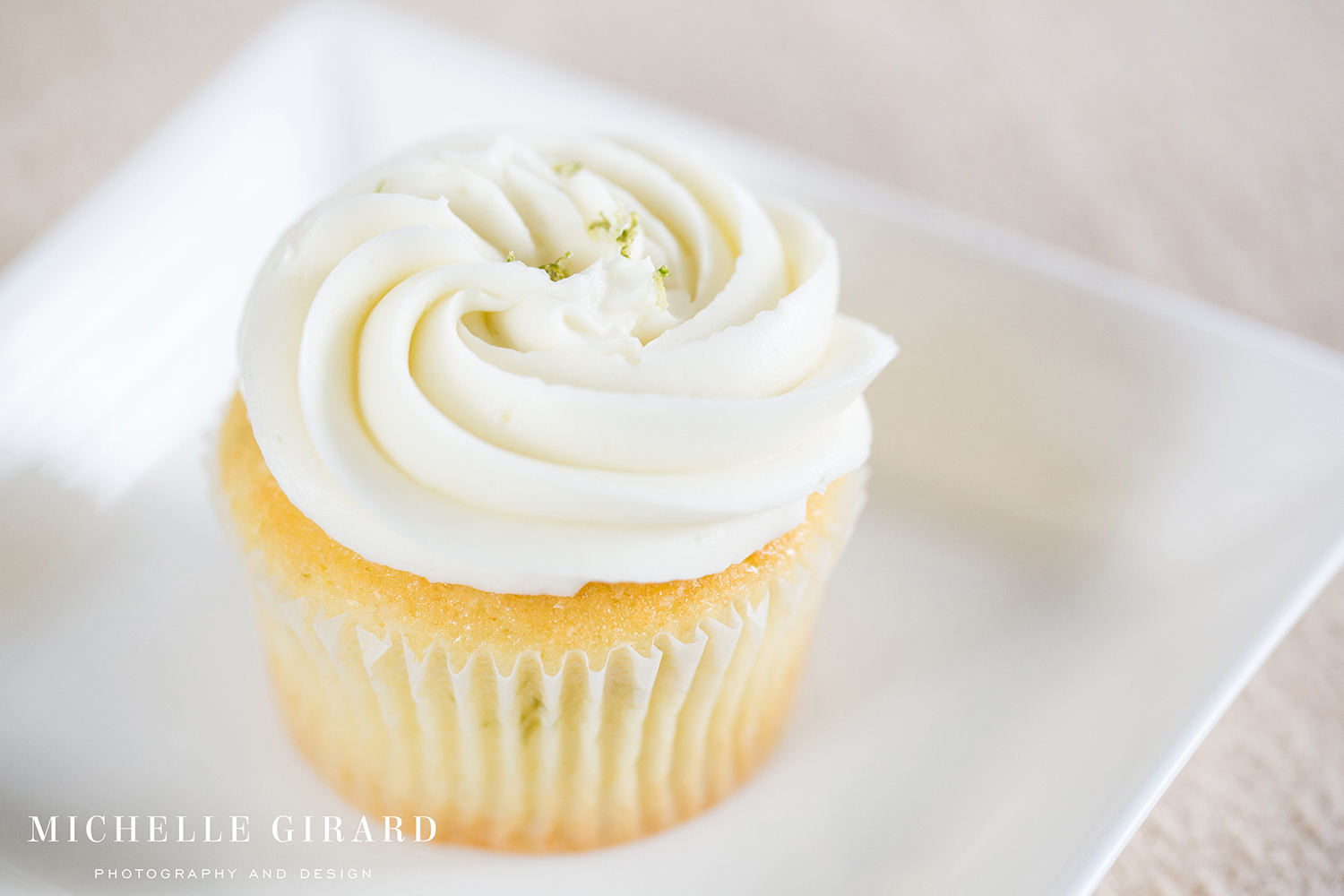 Cupcakes_NinasCookies_FeedingHillaMA_MichelleGirardPhotography11.jpg