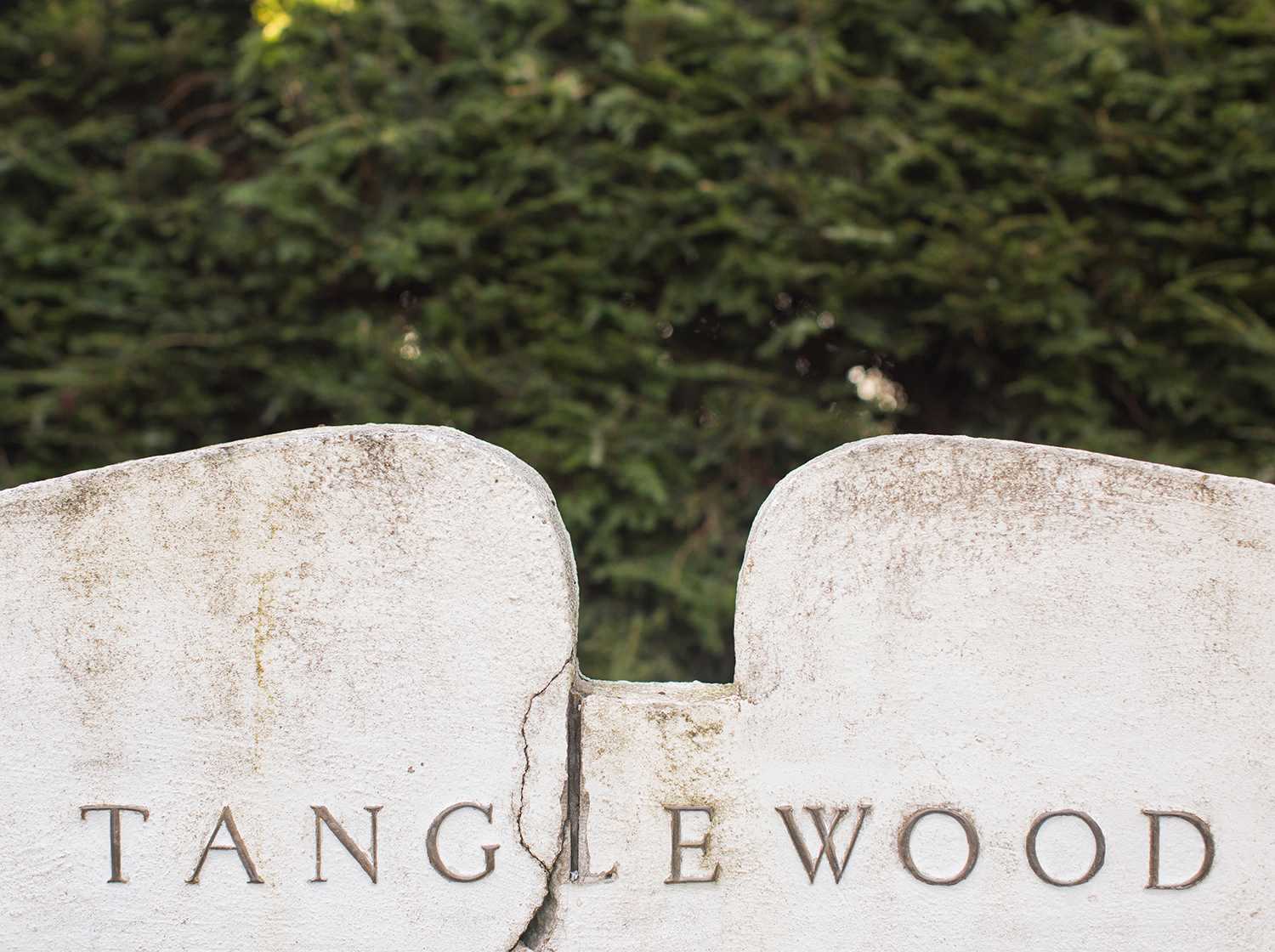 Tanglewood-Lenox-Berkshires-Fall-Engagement-Session-MichelleGirardPhotography17.jpg
