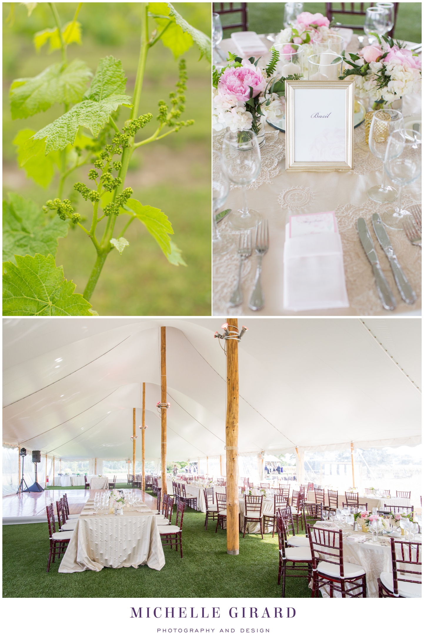 CarolynsSakonnetVineyardWedding_LittleComptonRI_MichelleGirardPhotography36.jpg