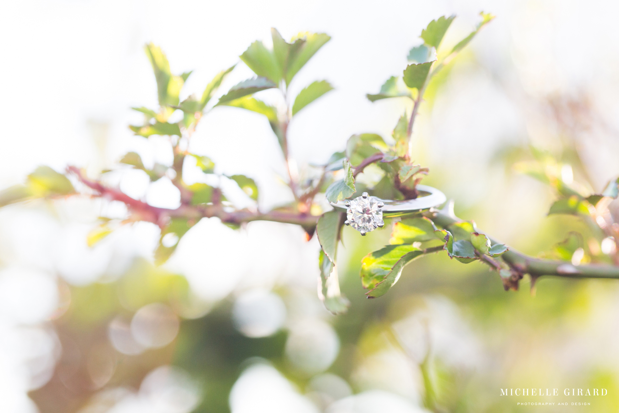 HarknessParkEngagementSession_EoliaMansion_MichelleGirardPhotography13.jpg