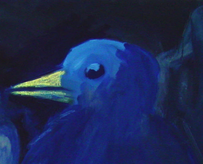Bird Head Scotland.jpg