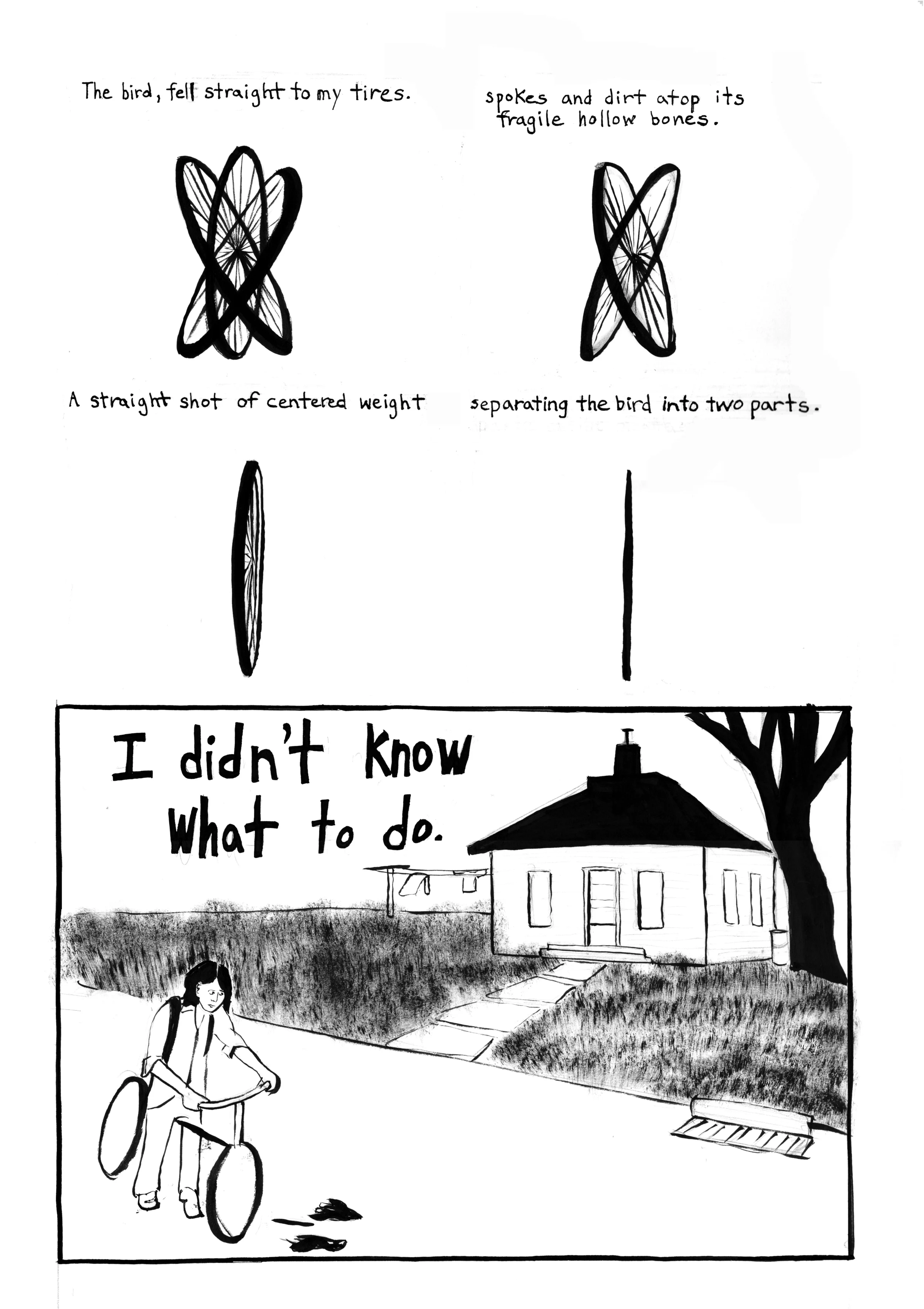 Bird Page 2.jpg