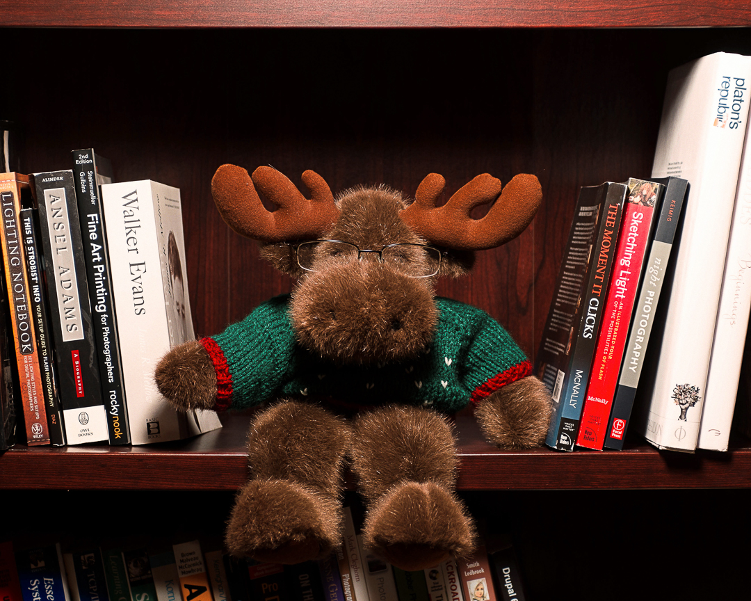 Bookmoose. Please do not disturb.