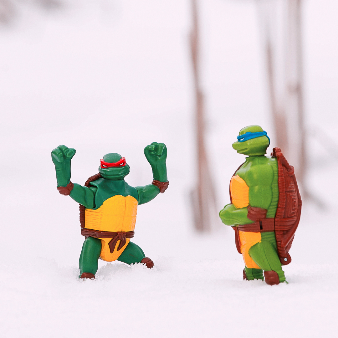 "I know an awesome pond, he said ! It's always sunny and warm there, he said !! Grrrrrr !!!"