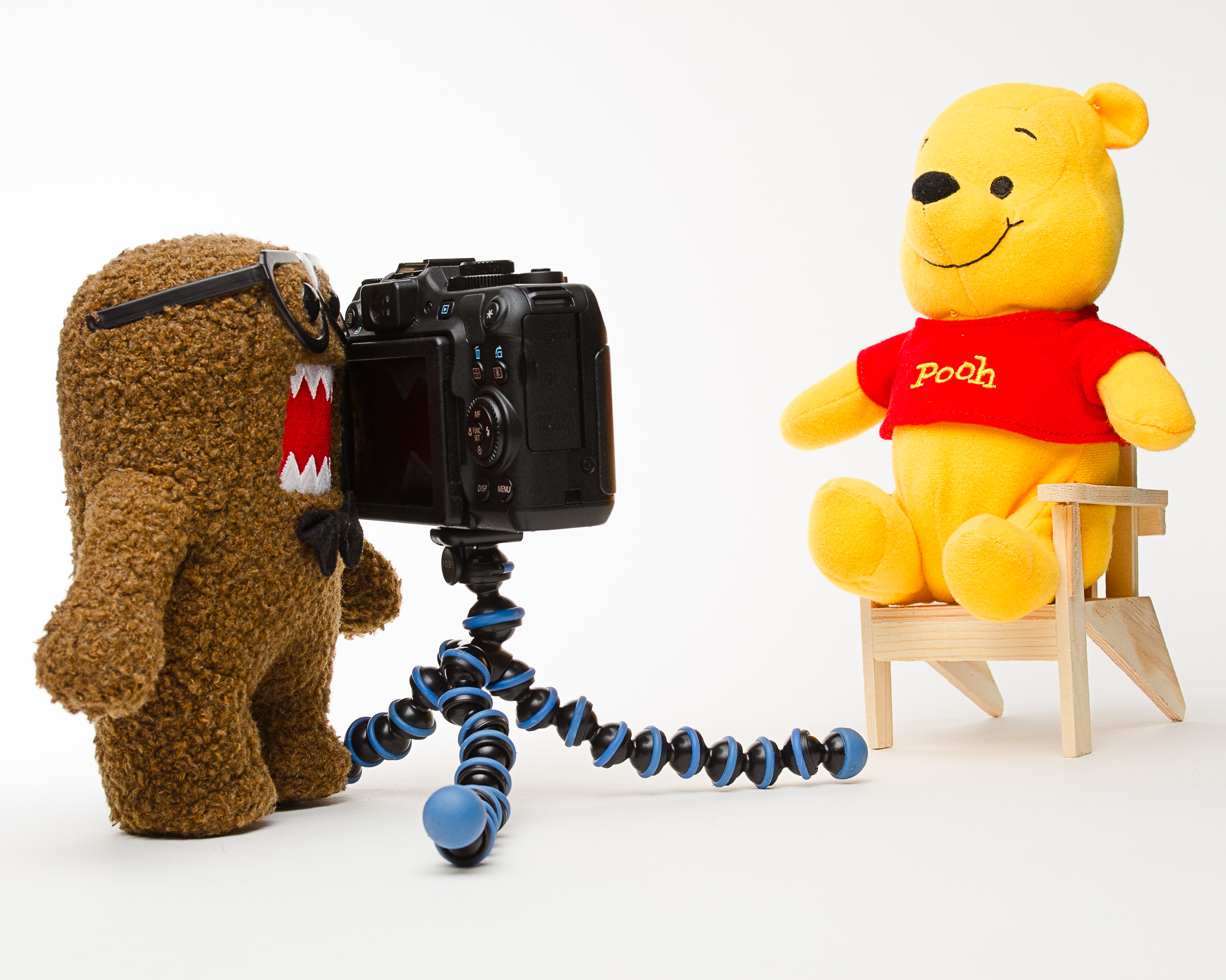 Poohtographer: "A Photographer who continues to shoot even though he knows that ultimately all his shots will end up looking like Pooh".