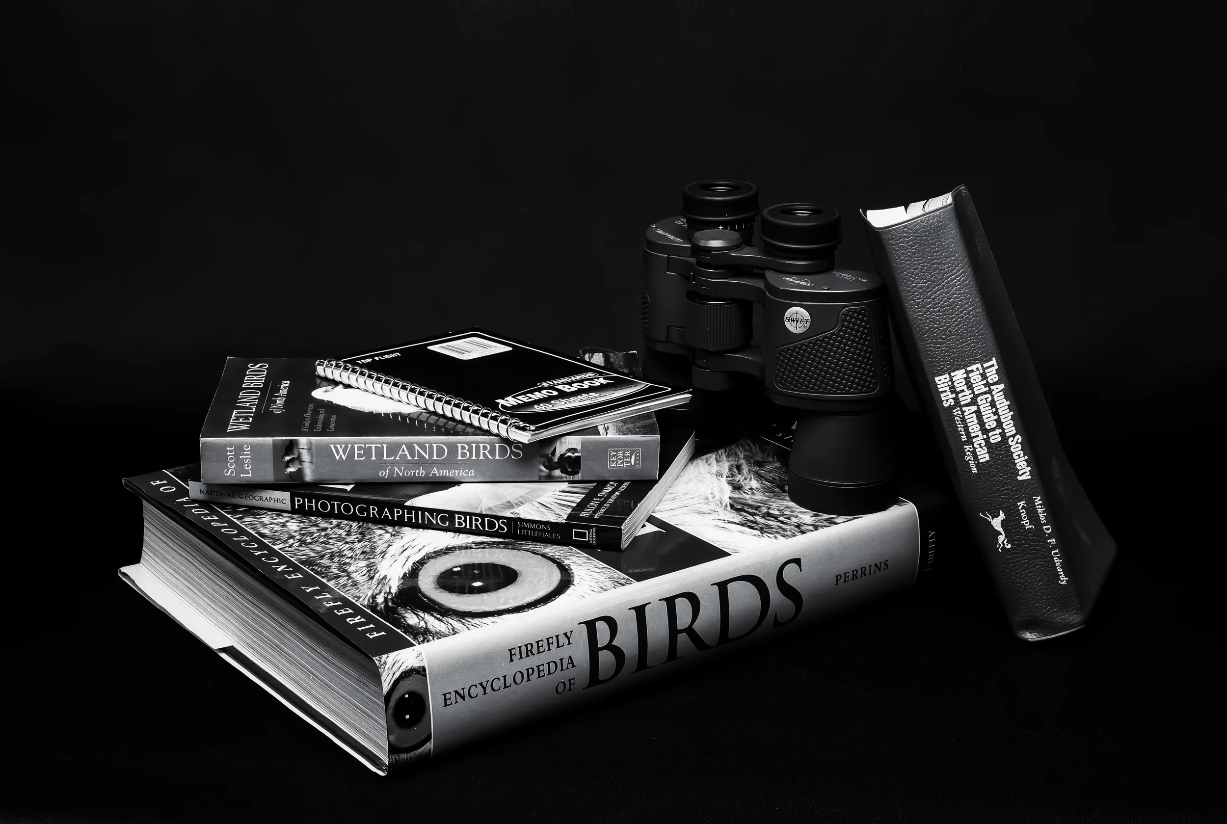 4x5_for_365_project_003_birder_still_life_001_full.jpg