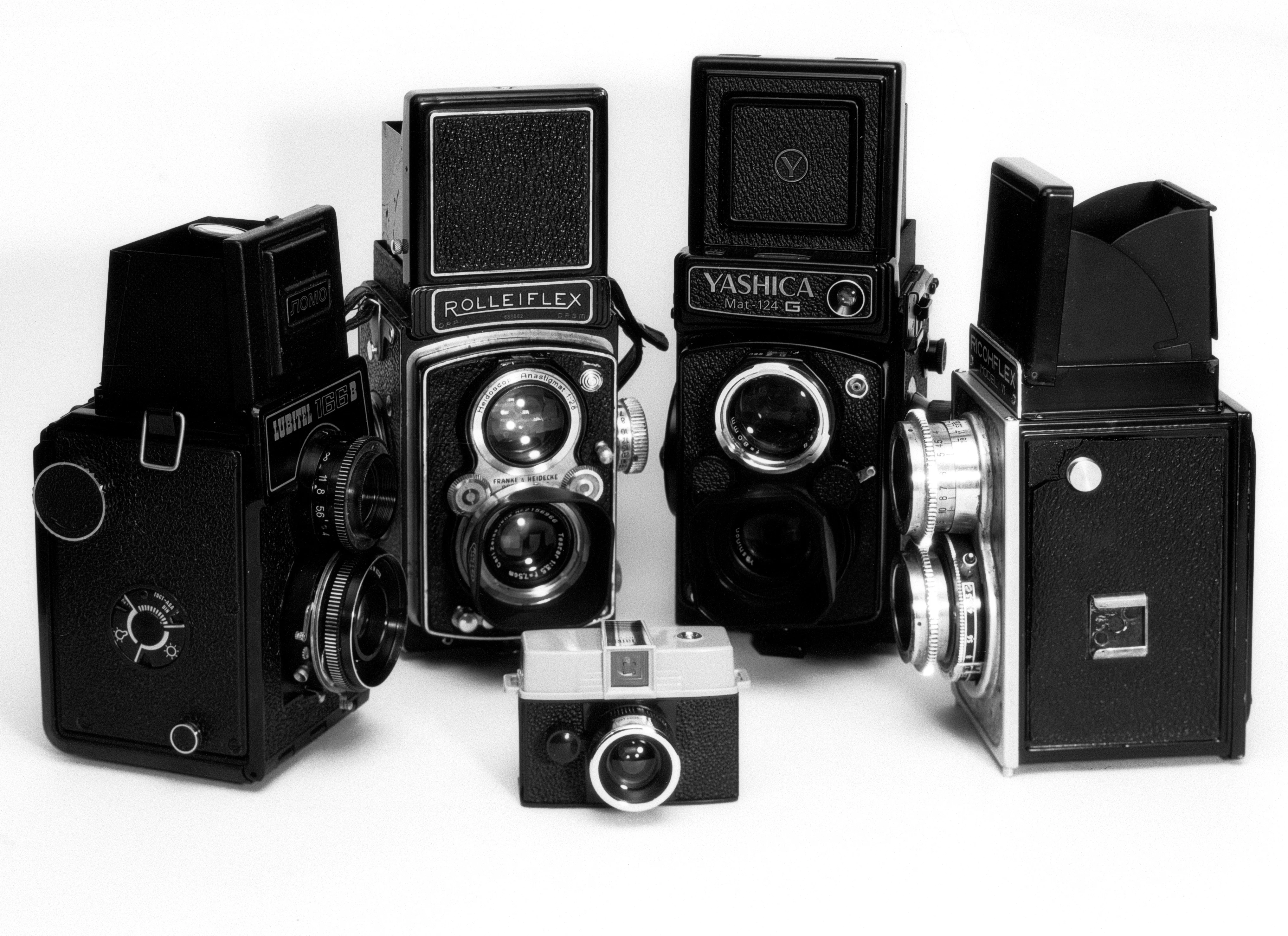 4x5 for 365 project (7/365)