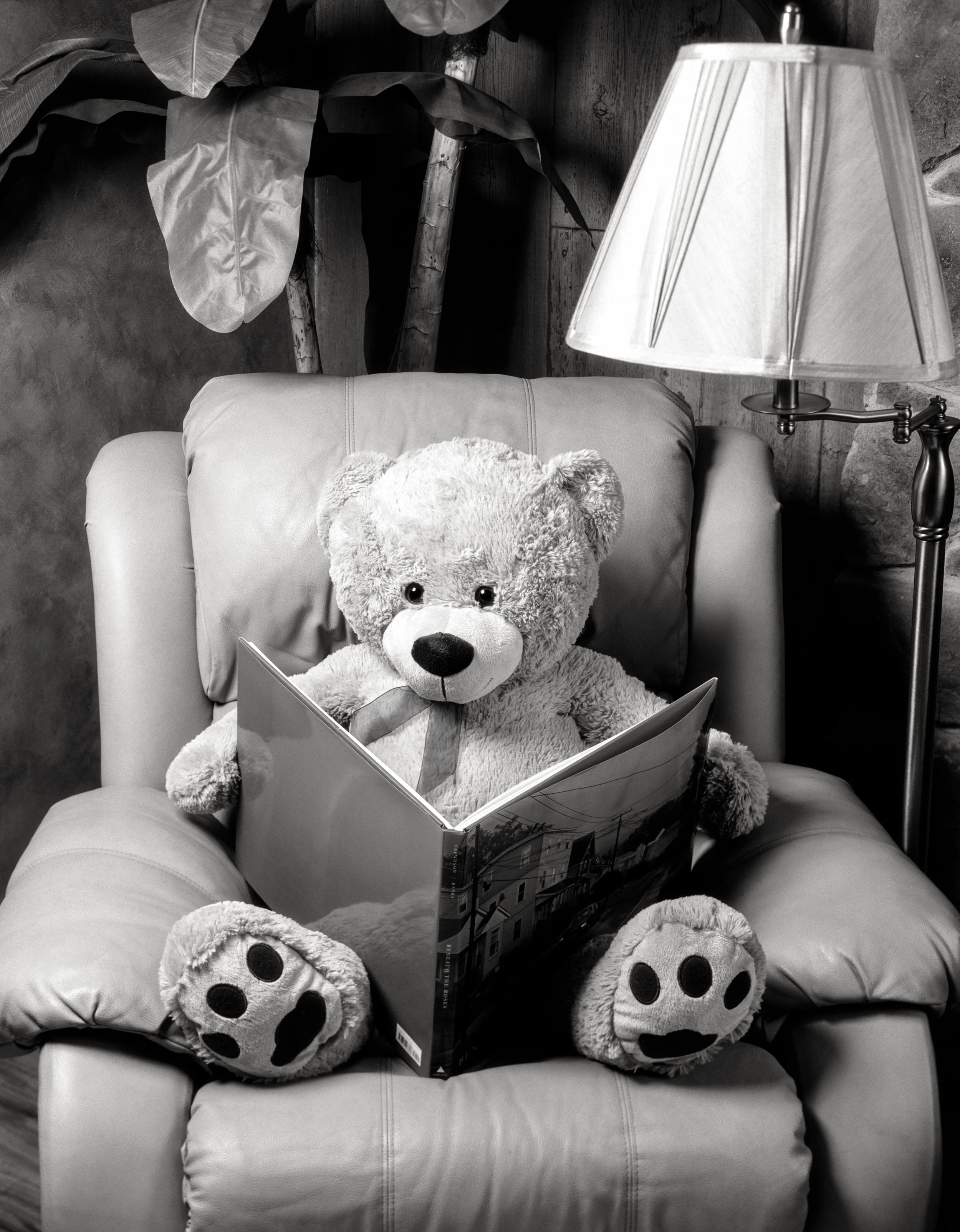 4x5_for_365_project_008_Bearenice_Abbott_Reading_Chair_001.jpg