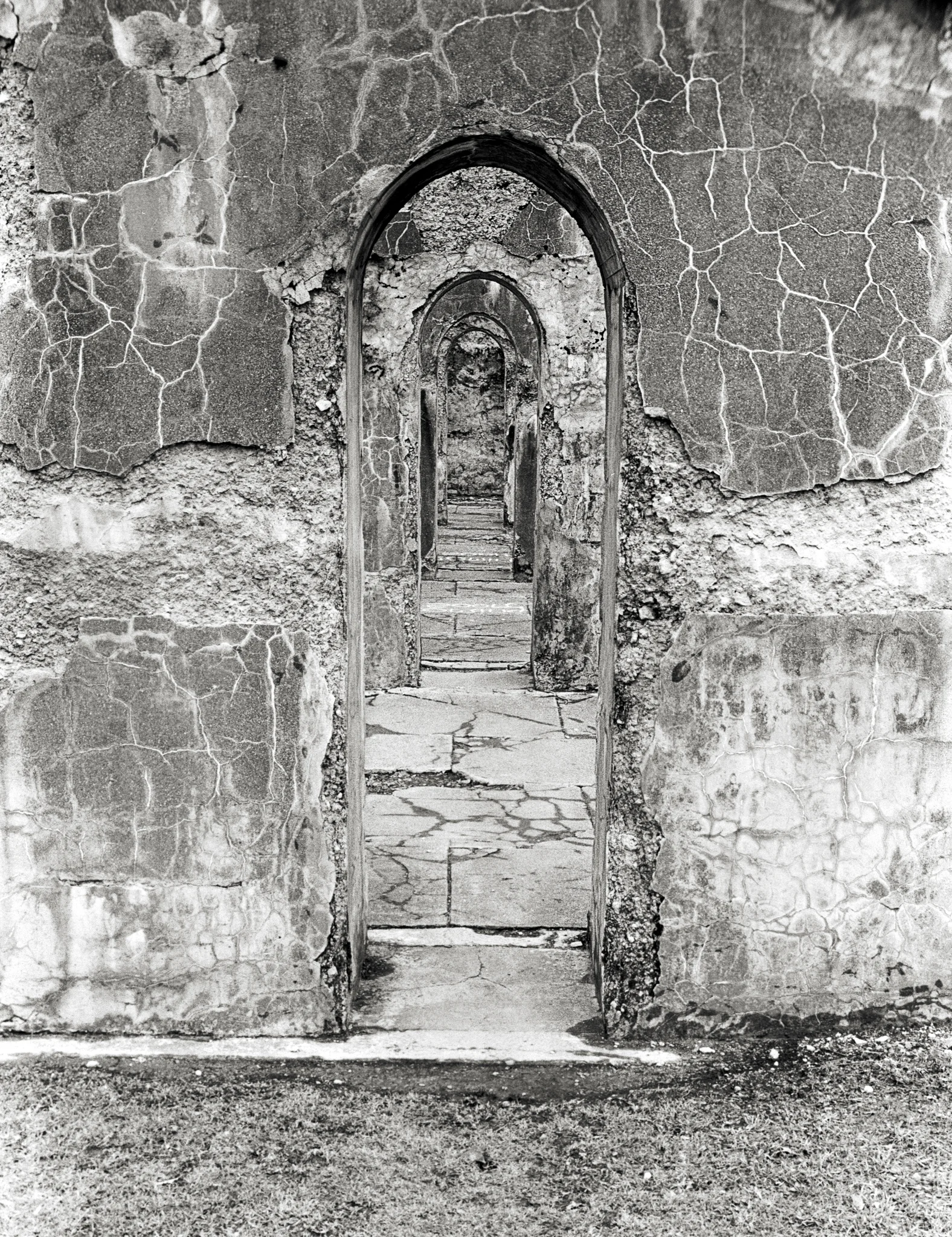 4x5 for 365 project (14/365)